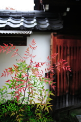 片隅の秋
