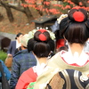 体験舞子