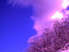 Vivitarの写す空