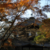 銀閣寺ならぬ厳格寺。なんちゃって。