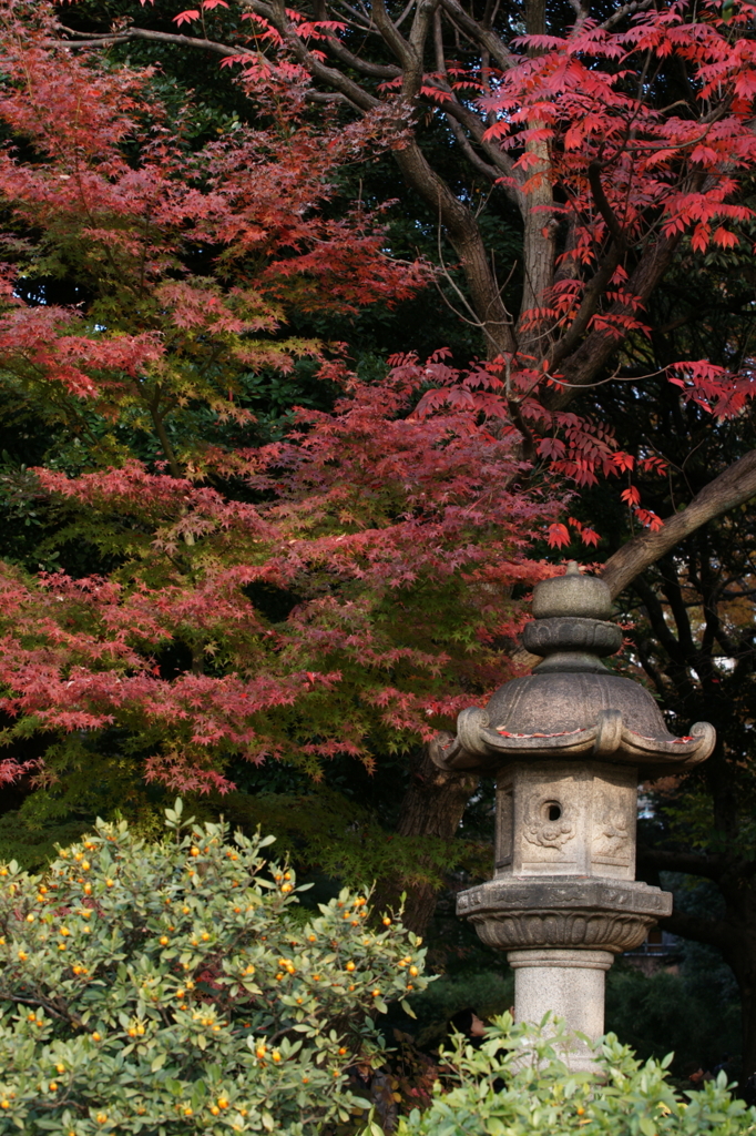 六義園２
