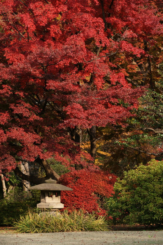六義園