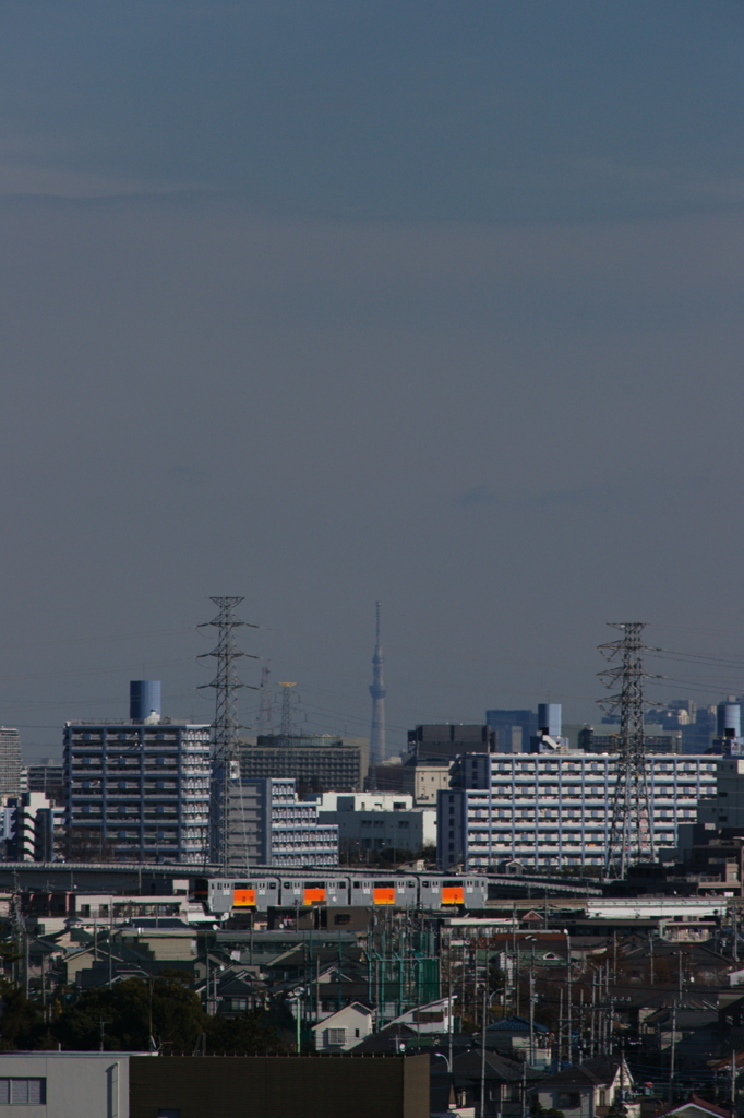 スカイツリー遠景