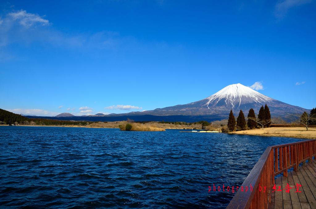 富士山-田貫湖-