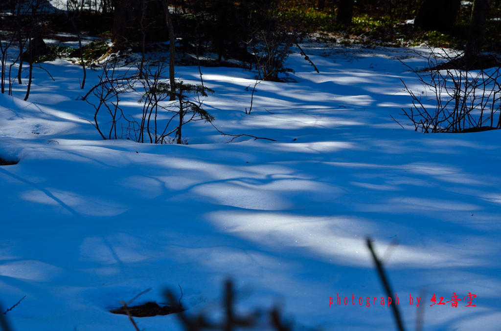 雪原