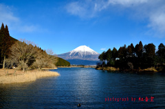 富士山-田貫湖-