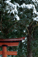 深々~しんしん~