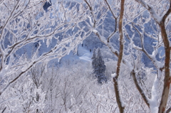 武奈ヶ岳　にて