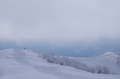 雪のトレイル