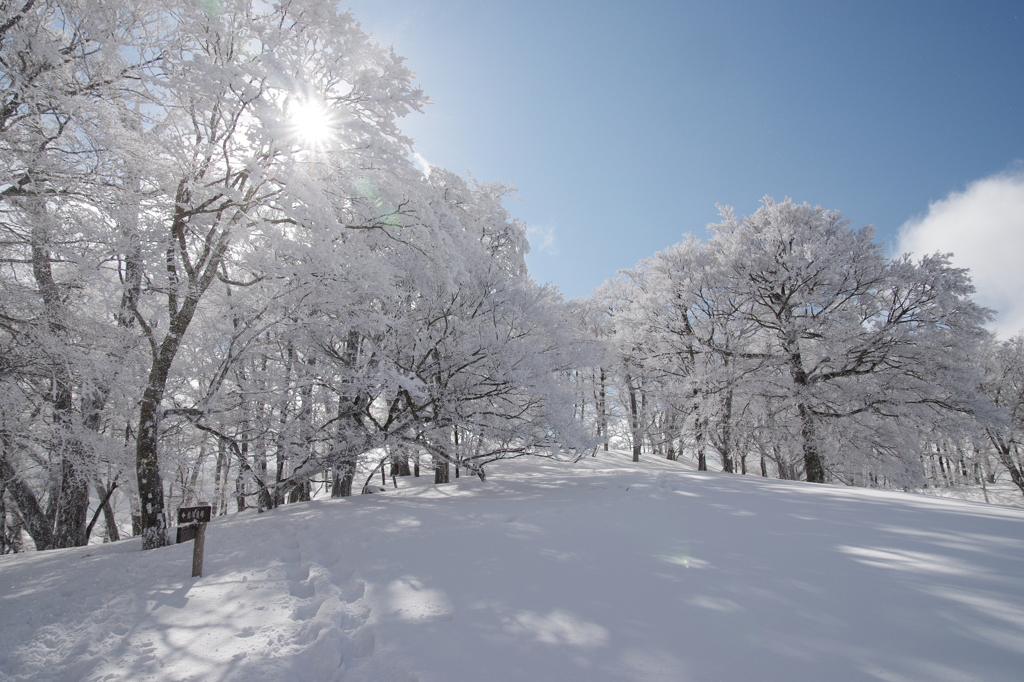 雪のトレイルに魅せられて