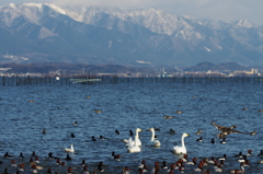 冬の琵琶湖の情景