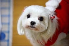 見つめて
