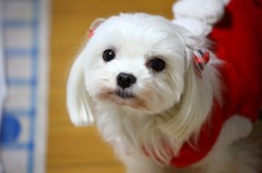見つめて