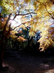 GRで下賀茂神社