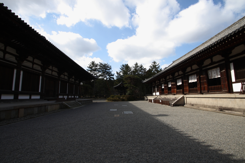 唐招提寺にて