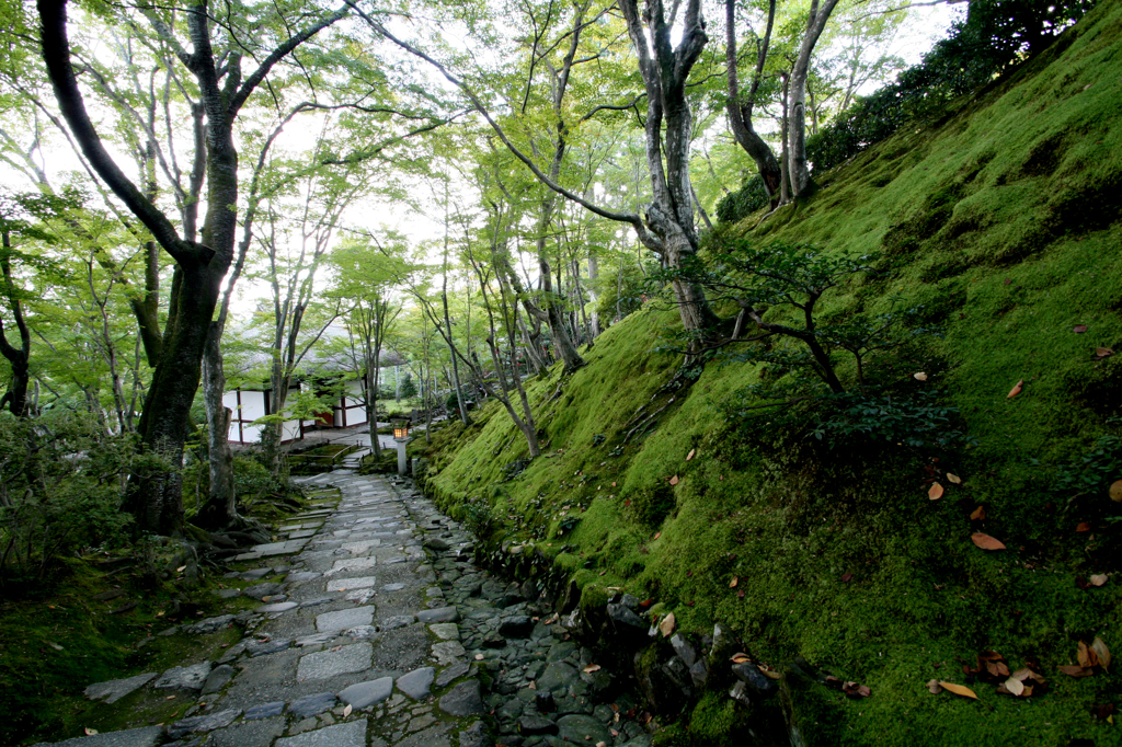 常寂光寺にて②