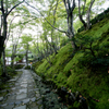 常寂光寺にて②