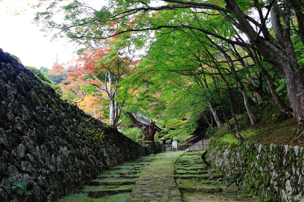 百済寺にて