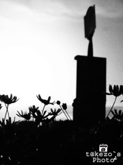 花の咲くバス停