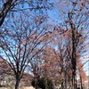 冬空散策
