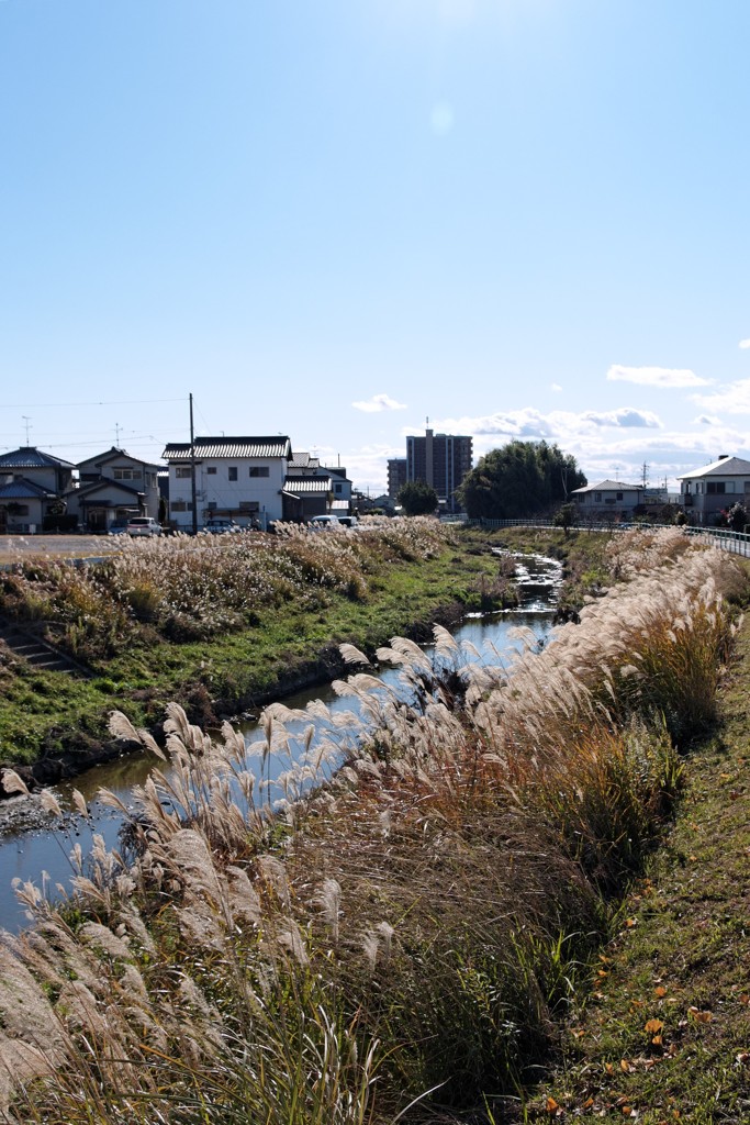 八田川