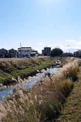八田川