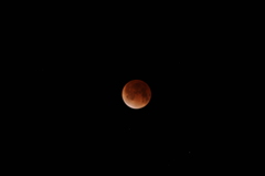 紅き月の夜