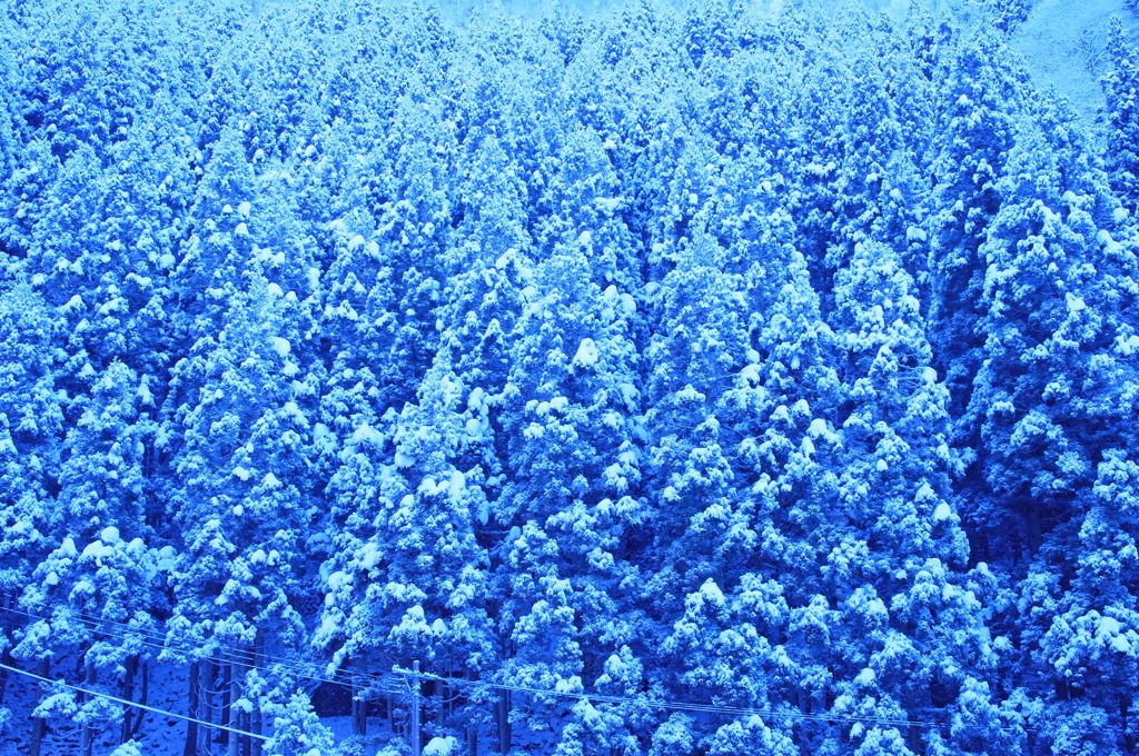 Into the Blue