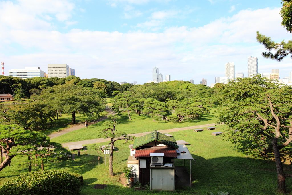 朝