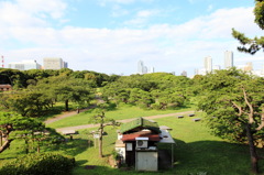 朝