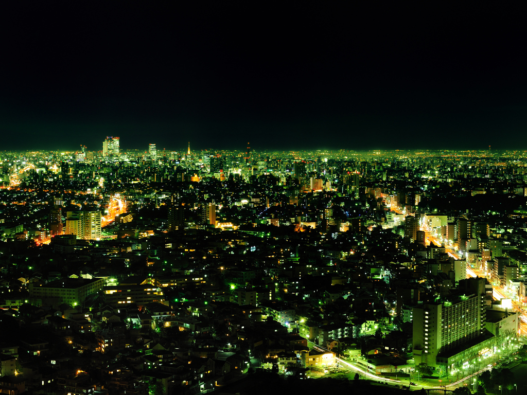 Nagoya Higashiyama Night View