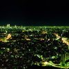 Nagoya Higashiyama Night View