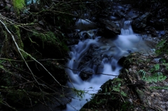 高尾山の渓流