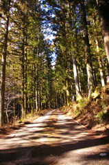 県道１９９