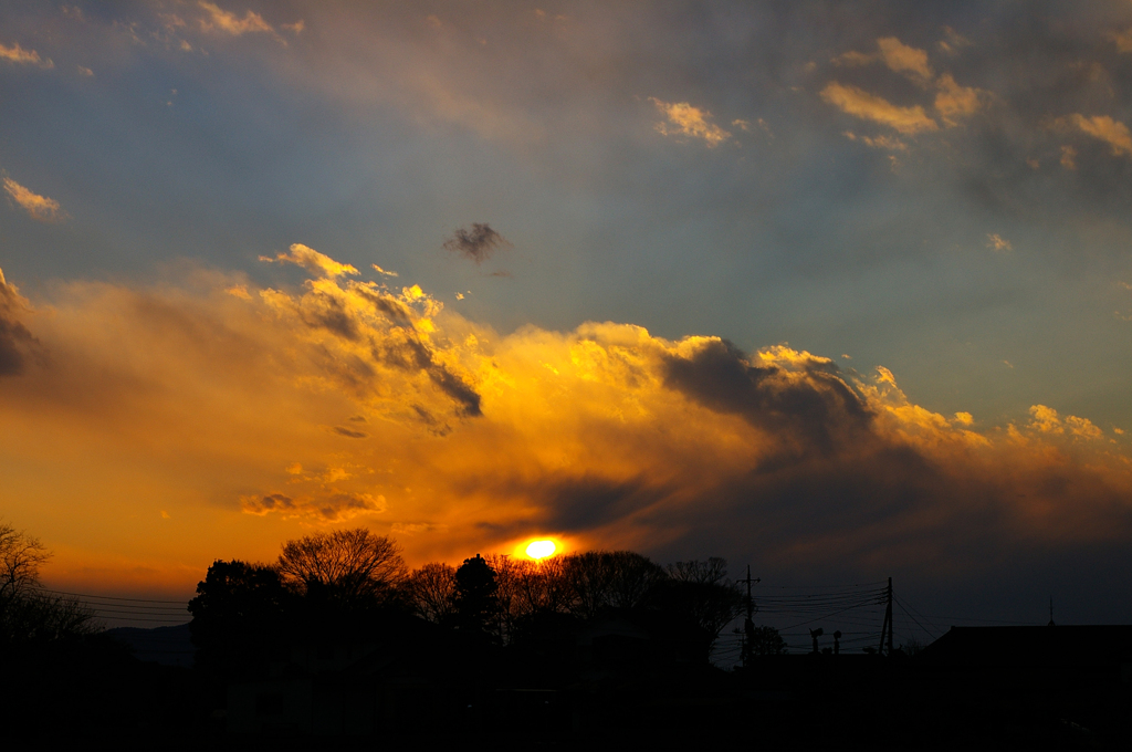 IMGP5548a
