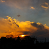 IMGP5548a