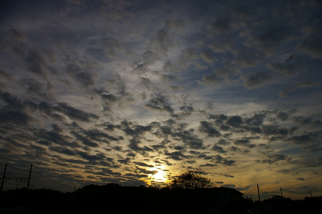 IMGP4472