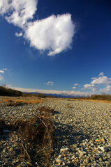 IMGP5523
