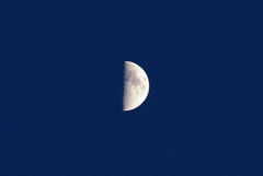 IMGP5861