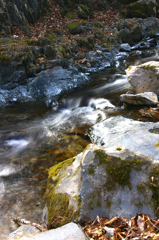IMGP6940