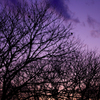 IMGP5664a
