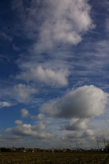 IMGP4465