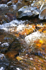 春先の水量