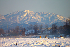 日光の山並み