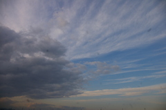 IMGP4447
