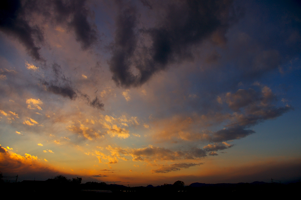 IMGP5557a