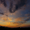IMGP5557a