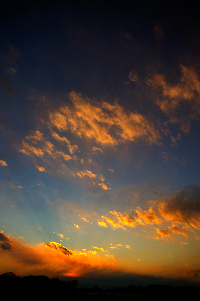 IMGP5598a