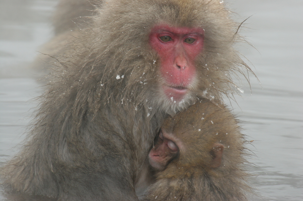 お湯の温もり、母の温もり