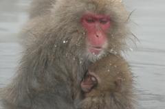 お湯の温もり、母の温もり